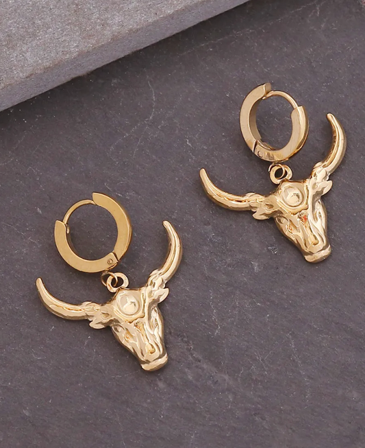 Mess With The Bull Huggies